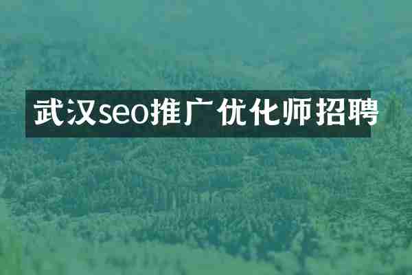 武汉seo推广优化师招聘
