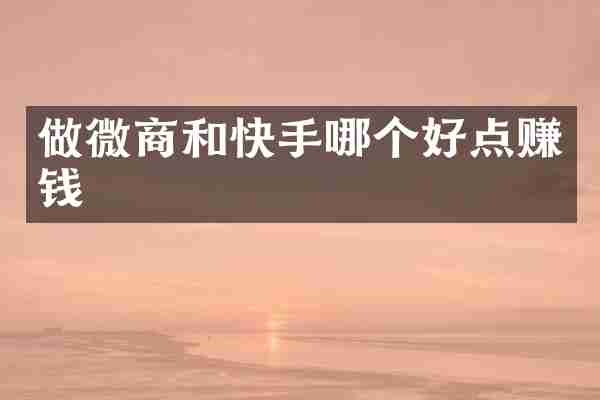 做微商和快手哪个好点赚钱