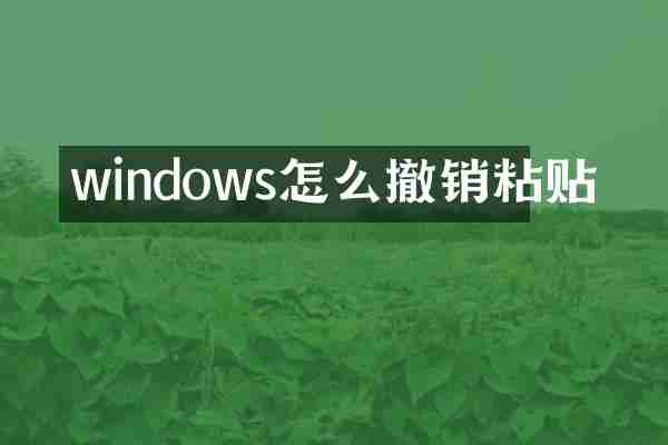 windows怎么撤销粘贴