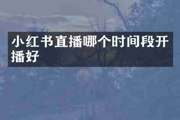 小红书直播哪个时间段开播好