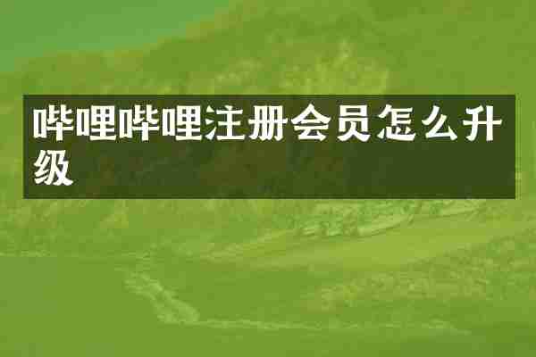哔哩哔哩注册会员怎么升级