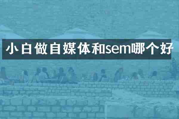 小白做自媒体和sem哪个好