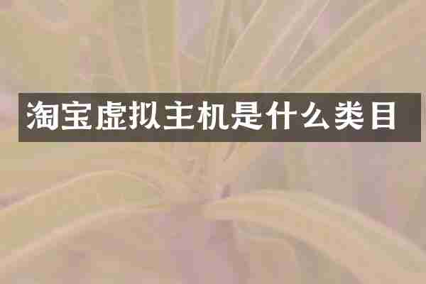 淘宝虚拟主机是什么类目