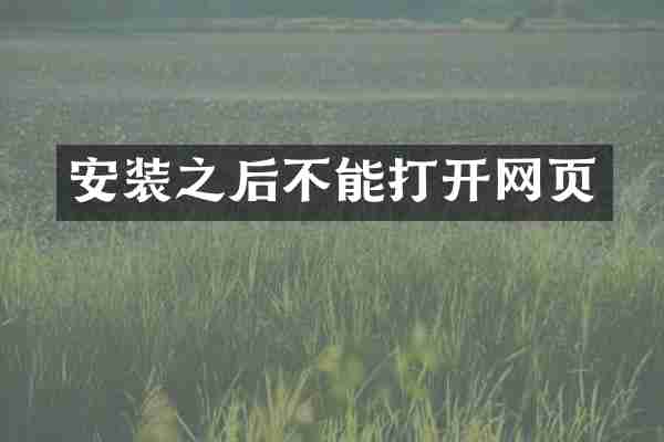 安装之后不能打开网页