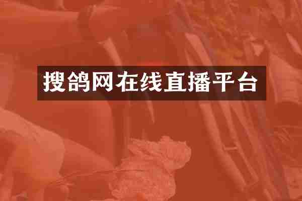搜鸽网在线直播平台