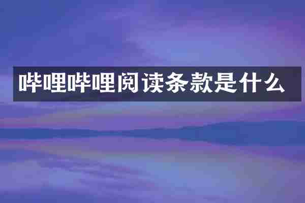 哔哩哔哩阅读条款是什么