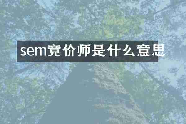 sem竞价师是什么意思