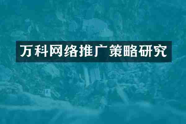 万科网络推广策略研究