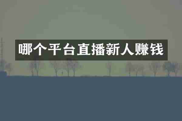 哪个平台直播新人赚钱