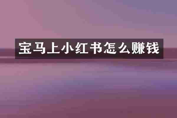 宝马上小红书怎么赚钱