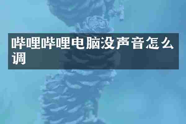 哔哩哔哩电脑没声音怎么调