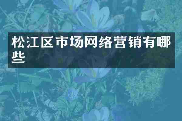 松江区市场网络营销有哪些
