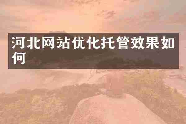 河北网站优化托管效果如何