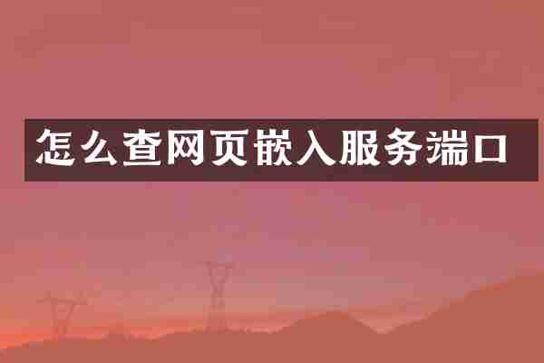 怎么查网页嵌入服务端口