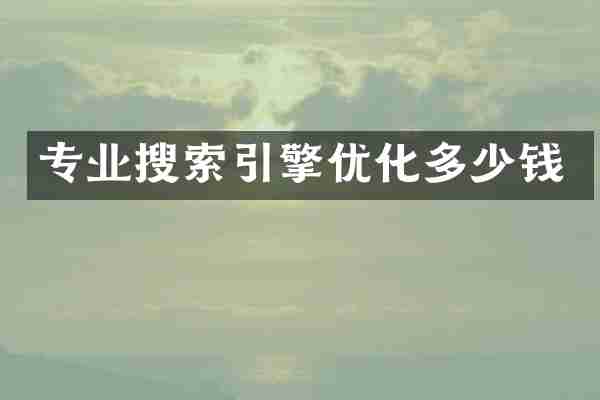 专业搜索引擎优化多少钱