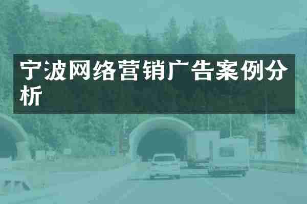 宁波网络营销广告案例分析
