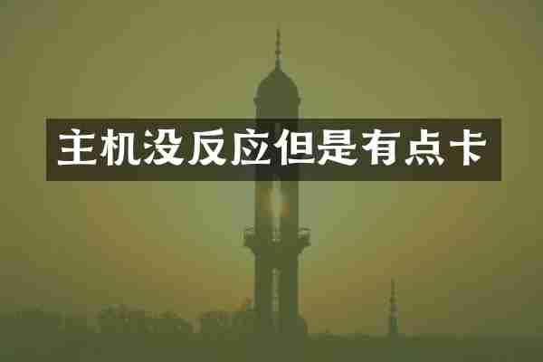 主机没反应但是有点卡