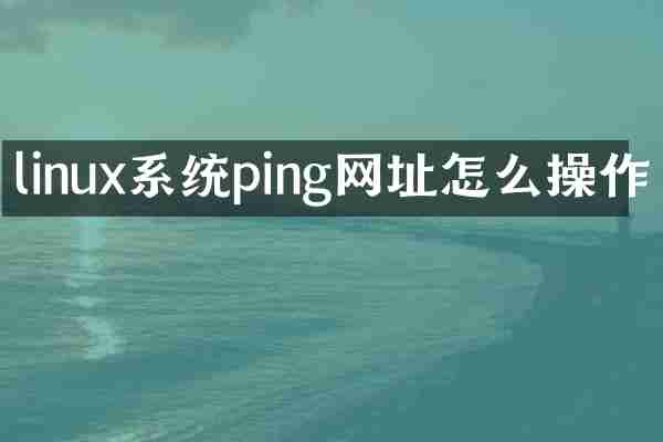 linux系统ping网址怎么操作