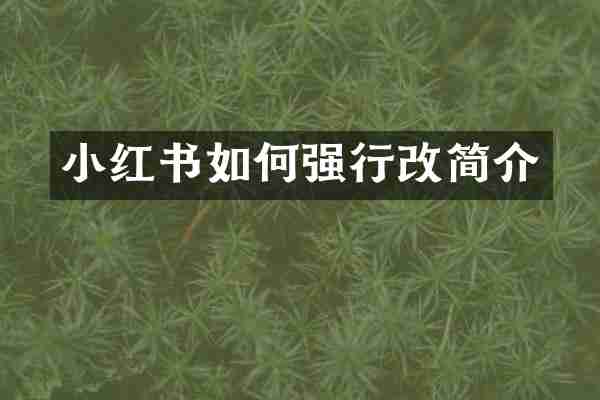 小红书如何强行改简介