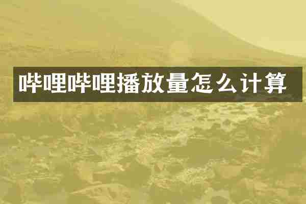 哔哩哔哩播放量怎么计算