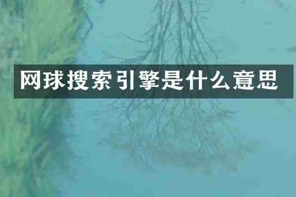 网球搜索引擎是什么意思