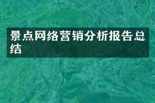 景点网络营销分析报告总结