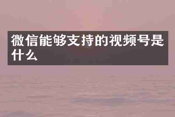 微信能够支持的视频号是什么