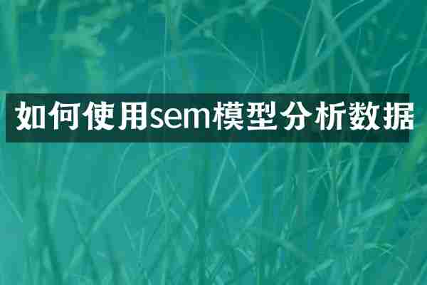 如何使用sem模型分析数据