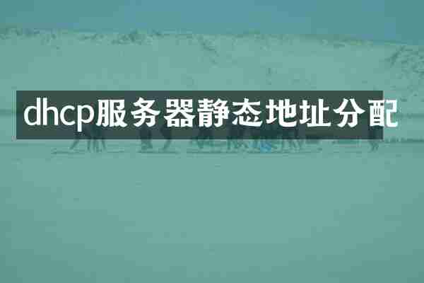 dhcp服务器静态地址分配