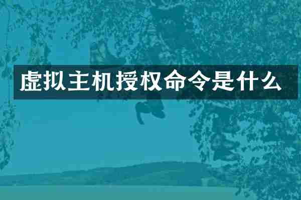 虚拟主机授权命令是什么