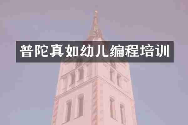 普陀真如幼儿编程培训