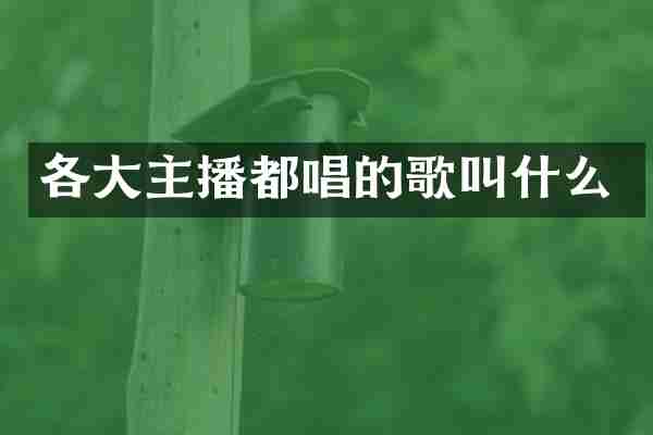 各大主播都唱的歌叫什么