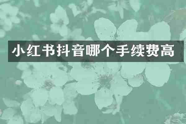 小红书抖音哪个手续费高