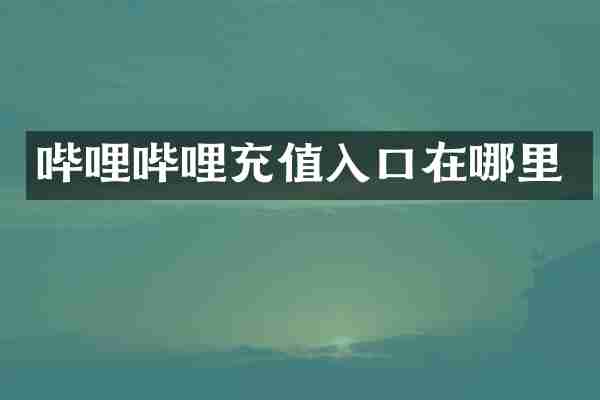 哔哩哔哩充值入口在哪里