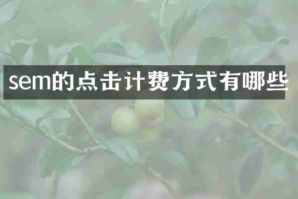 sem的点击计费方式有哪些