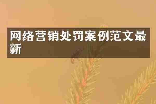 网络营销处罚案例范文最新