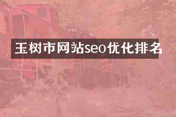玉树市网站seo优化排名