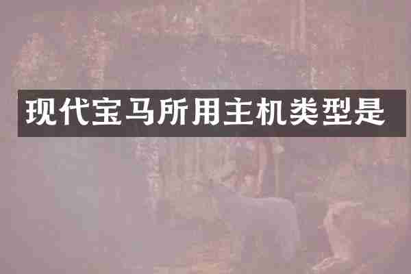 现代宝马所用主机类型是