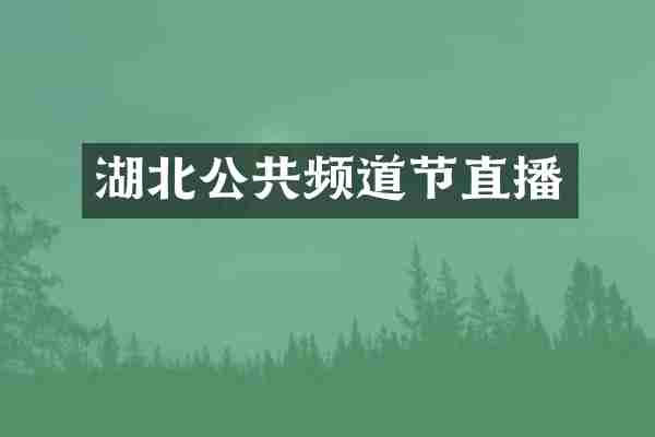 湖北公共频道节直播