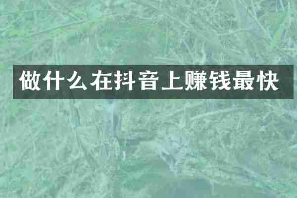 做什么在抖音上赚钱最快
