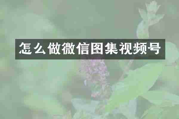 怎么做微信图集视频号
