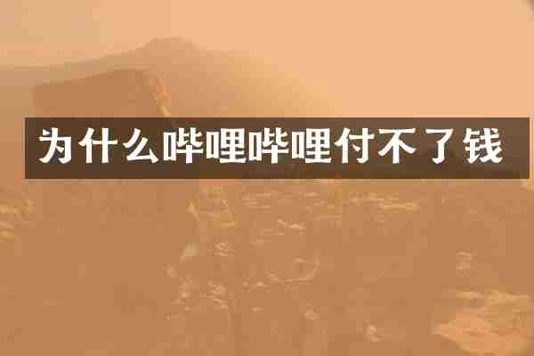 为什么哔哩哔哩付不了钱