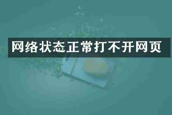网络状态正常打不开网页