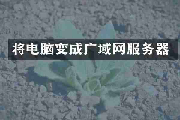 将电脑变成广域网服务器
