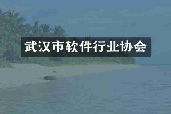 武汉市软件行业协会