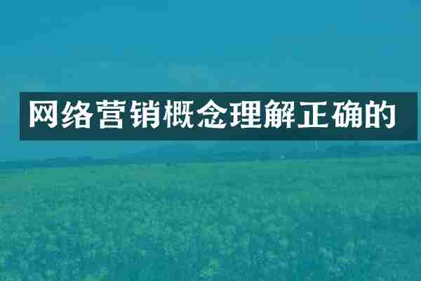 网络营销概念理解正确的
