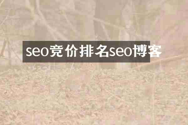 seo竞价排名seo博客