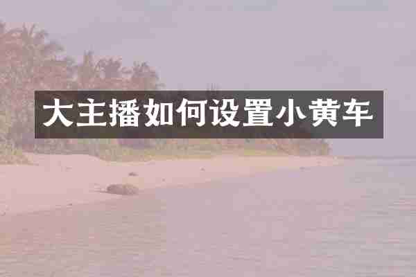 大主播如何设置小黄车