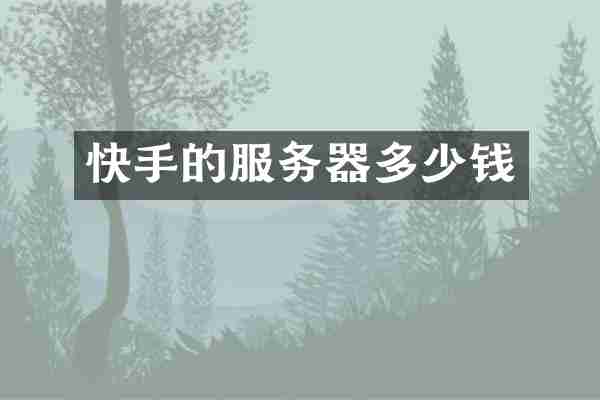 快手的服务器多少钱