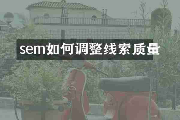 sem如何调整线索质量